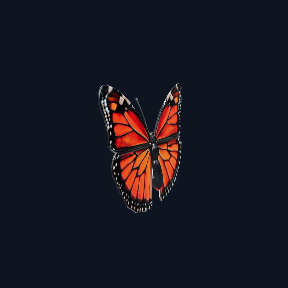 Monarch Butterfly Realistic 3D Model
